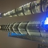 长着兔尾巴的猫