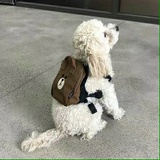 乞力马扎罗的风