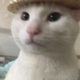 开门是我