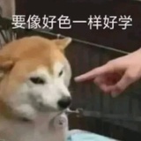来看一看看看