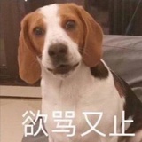发条橙子