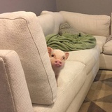 8475