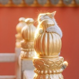 花火