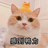 不想活不想死