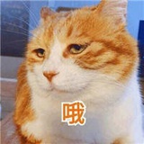 躁郁女士
