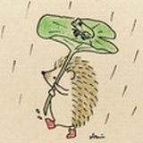 九水