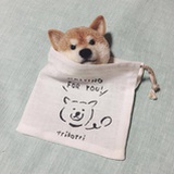 管⁢⁢理⁢员