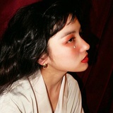 布袋中的布偶猫