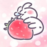 🍓Gorgeous