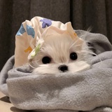 妙妙奇奇屋