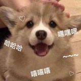关山月