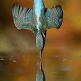 混沌面好了同学