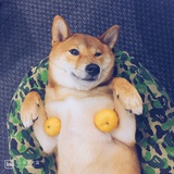 温水瓶