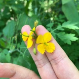 钱啊物色太过于