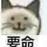 夺命猫猫头