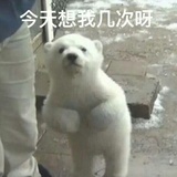 正经人