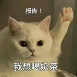 DoubleX