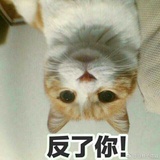 小可爱呀