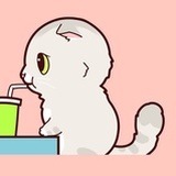 哩哩小熊🐻