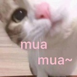 谦爱