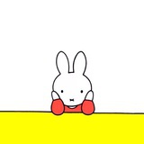 橘橘南🐼