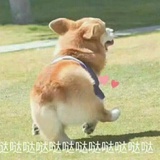 今天又熬夜了