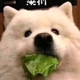 好好摸鱼