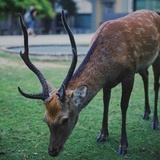 万万没有点点