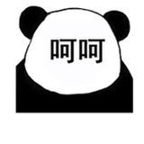 敲绝可爱