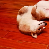 王宇（Sally）👠📖