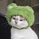 警惕同人