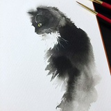 花与猫不可兼得