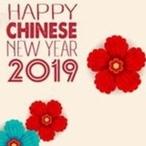 水母花边群