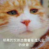 小可爱