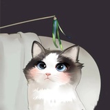 Idun SAMA