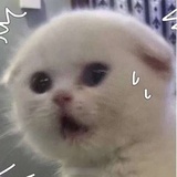 Jiozao