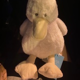 W小姐。