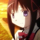 荷兰兔