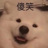 王沥川老婆