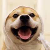 七柠檬也