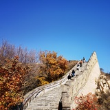 小志