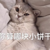 椰奶西米露