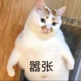 simonyang5.0