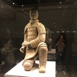 萌萌