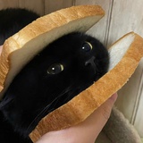 。。