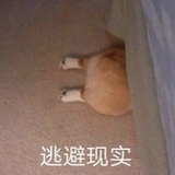 hfddukk