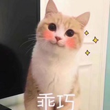 异乡人