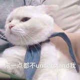 lllllllllili