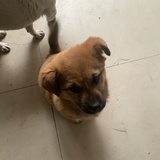 赵一瓢