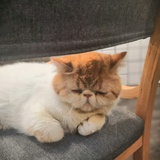 KimYuna